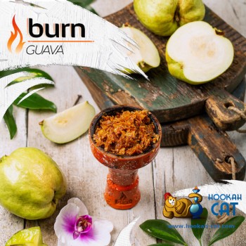 Заказать кальянный табак Burn Guava (Берн Гуава) 100г онлайн с доставкой всей России